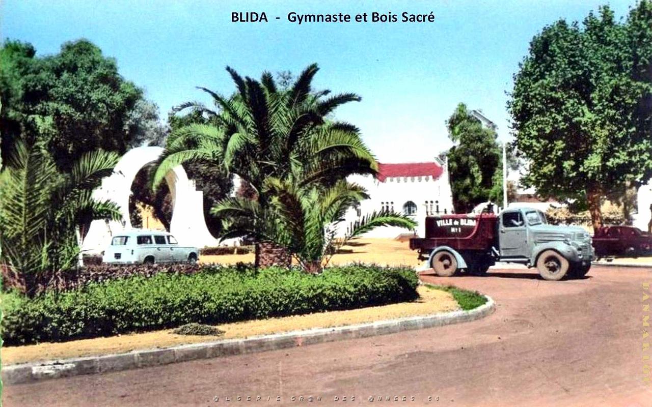 Blida - Gymnaste et Bois Sacre.jpg